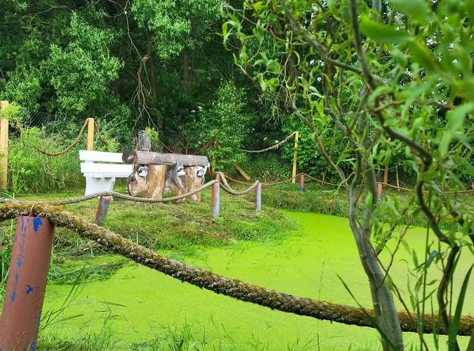 Dercowka * Mieroszyno